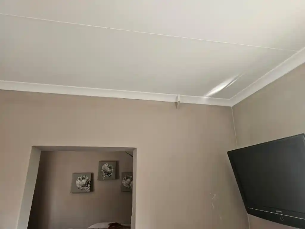 Ceiling Renovation Project 4
