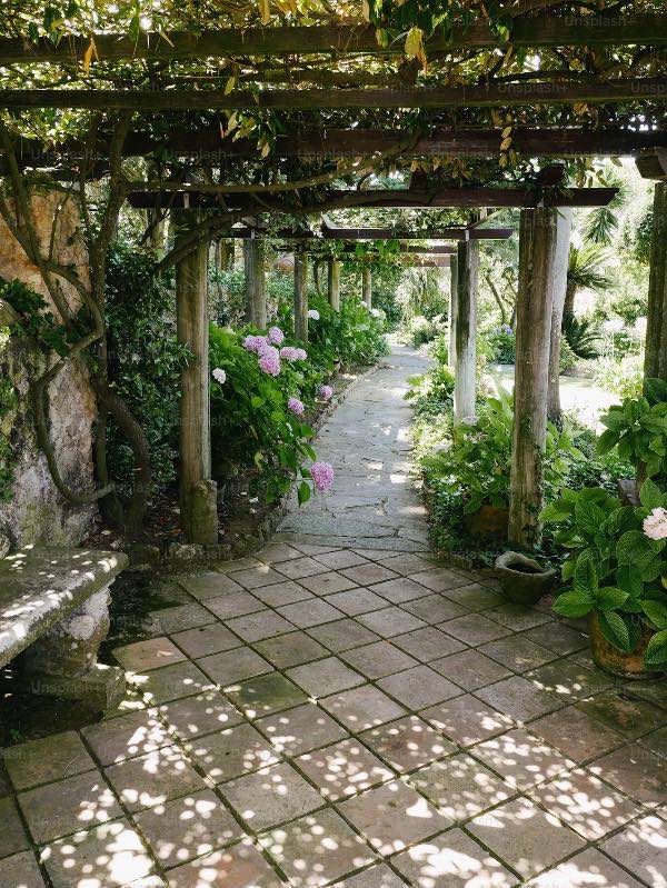 Professional Paving Services